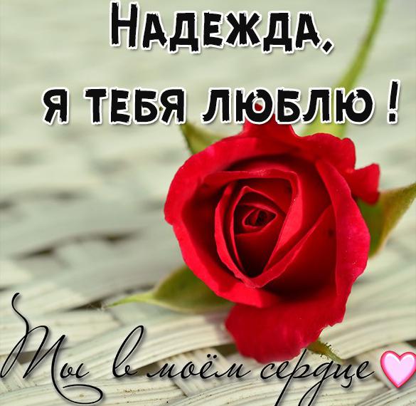 Скачать бесплатно Картинка я люблю тебя любимая Надежда на сайте WishesCards.ru