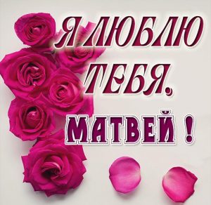 Скачать бесплатно Картинка я люблю тебя Матвей на сайте WishesCards.ru