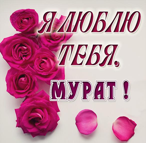 Скачать бесплатно Картинка я люблю тебя Мурат на сайте WishesCards.ru