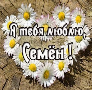 Скачать бесплатно Картинка я люблю тебя Семен на сайте WishesCards.ru