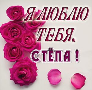 Скачать бесплатно Картинка я люблю тебя Степа на сайте WishesCards.ru