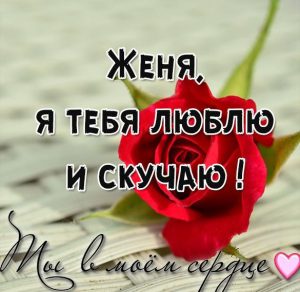 Скачать бесплатно Картинка Женя я тебя люблю и скучаю на сайте WishesCards.ru