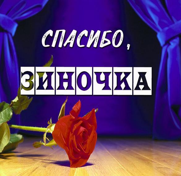 Скачать бесплатно Картинка Зиночка спасибо на сайте WishesCards.ru