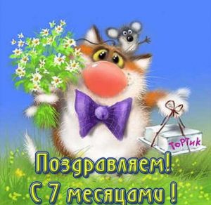 Скачать бесплатно Классная открытка на 7 месяцев мальчику на сайте WishesCards.ru