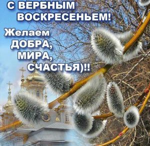 Скачать бесплатно Короткое поздравление на Вербное Воскресенье в открытке на сайте WishesCards.ru