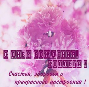 Скачать бесплатно Красивая бесплатная картинка с днем рождения коллеге на сайте WishesCards.ru