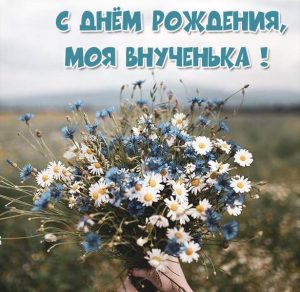 Скачать бесплатно Красивая бесплатная картинка с днем рождения внучки на сайте WishesCards.ru
