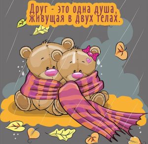 Скачать бесплатно Красивая бесплатная открытка для друга на сайте WishesCards.ru