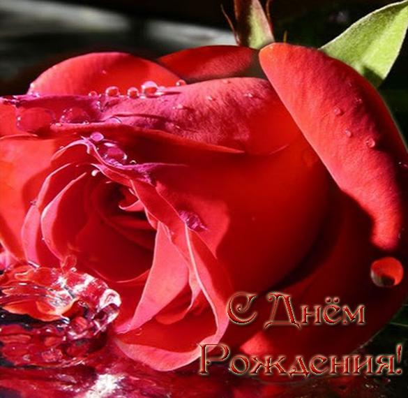 Скачать бесплатно Красивая бесплатная открытка с днем рождения для девушки на сайте WishesCards.ru