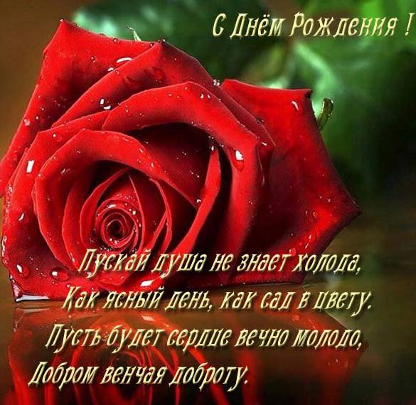 Скачать бесплатно Красивая бесплатная открытка с днем рождения женщине учителю на сайте WishesCards.ru