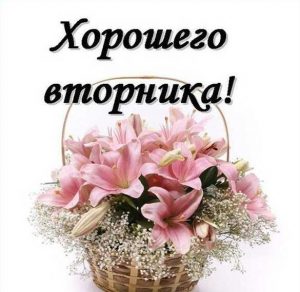 Скачать бесплатно Красивая электронная открытка хорошего вторника на сайте WishesCards.ru