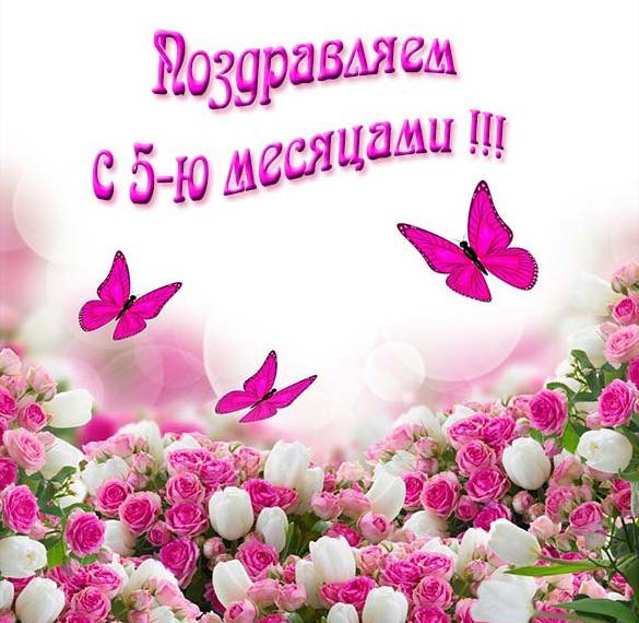 Скачать бесплатно Красивая электронная открытка на 5 месяцев мальчику на сайте WishesCards.ru