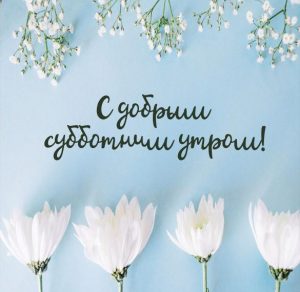 Скачать бесплатно Красивая электронная открытка с добрым субботним утром на сайте WishesCards.ru