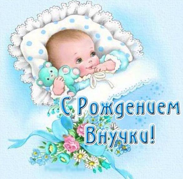 Скачать бесплатно Красивая электронная открытка с рождением внучки на сайте WishesCards.ru
