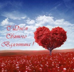 Скачать бесплатно Красивая фото открытка на день Святого Валентина на сайте WishesCards.ru