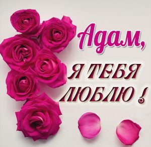 Скачать бесплатно Красивая картинка Адам я тебя люблю на сайте WishesCards.ru