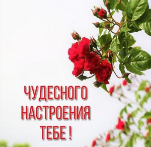 Скачать бесплатно Красивая картинка чудесного настроения на сайте WishesCards.ru
