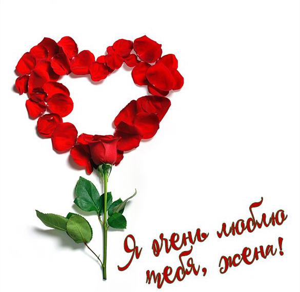 Скачать бесплатно Красивая картинка для любимой жены на сайте WishesCards.ru