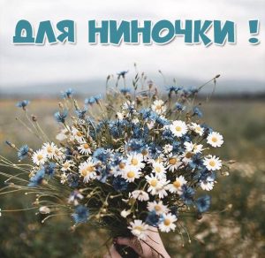 Скачать бесплатно Красивая картинка для Ниночки на сайте WishesCards.ru