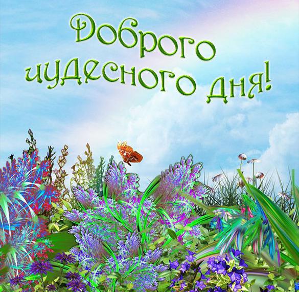 Скачать бесплатно Красивая картинка доброго чудесного дня на сайте WishesCards.ru