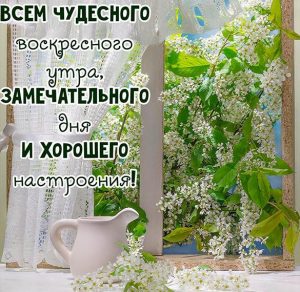 Скачать бесплатно Красивая картинка доброго воскресного дня на сайте WishesCards.ru