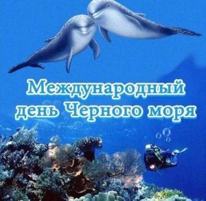 Скачать бесплатно Красивая картинка на день Черного моря на сайте WishesCards.ru