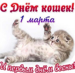 Скачать бесплатно Красивая картинка на день кошек на сайте WishesCards.ru