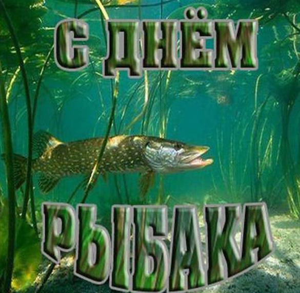 Скачать бесплатно Красивая картинка на день рыбака на сайте WishesCards.ru