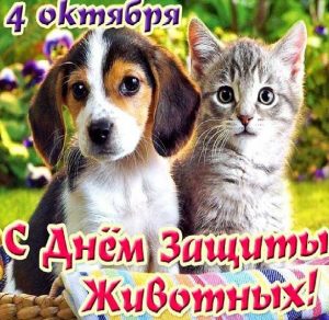 Скачать бесплатно Красивая картинка на день защиты животных на сайте WishesCards.ru