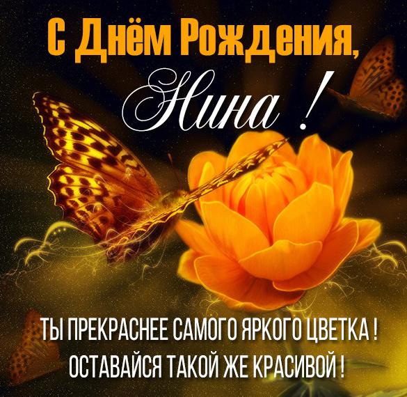 Скачать бесплатно Красивая картинка с днем рождения Нина на сайте WishesCards.ru