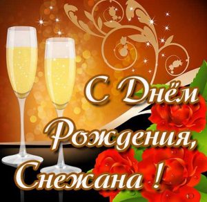 Скачать бесплатно Красивая картинка с днем рождения Снежана на сайте WishesCards.ru