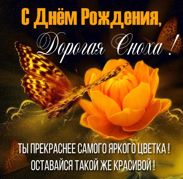 Скачать бесплатно Красивая картинка с днем рождения снохе на сайте WishesCards.ru