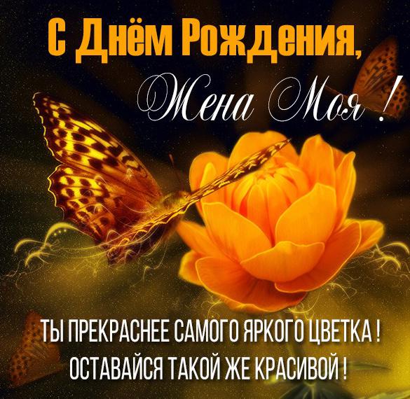 Скачать бесплатно Красивая картинка с днем рождения жене на сайте WishesCards.ru