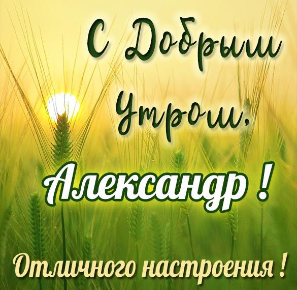 Скачать бесплатно Красивая картинка с добрым утром Александр на сайте WishesCards.ru