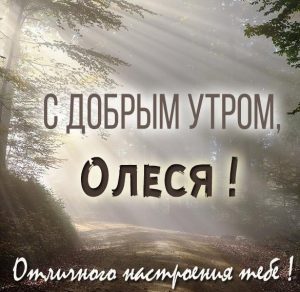 Скачать бесплатно Красивая картинка с добрым утром Олеся на сайте WishesCards.ru