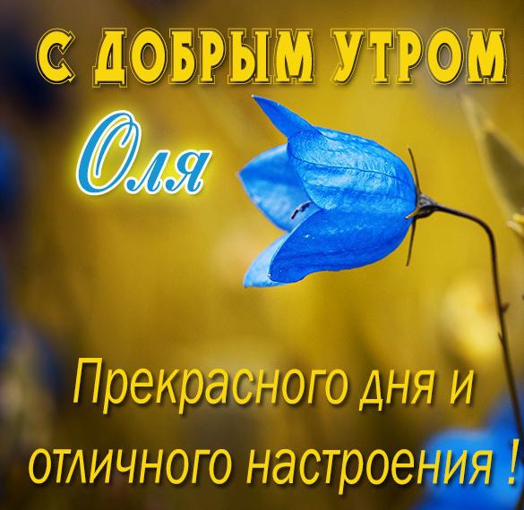 Скачать бесплатно Красивая картинка с добрым утром Оля на сайте WishesCards.ru