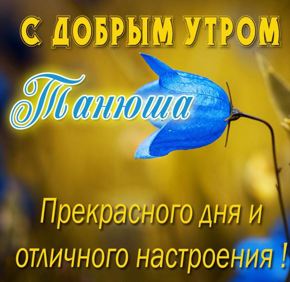 Скачать бесплатно Красивая картинка с добрым утром Танюша на сайте WishesCards.ru