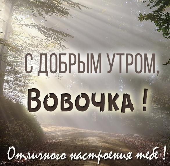 Скачать бесплатно Красивая картинка с добрым утром Вовочка на сайте WishesCards.ru
