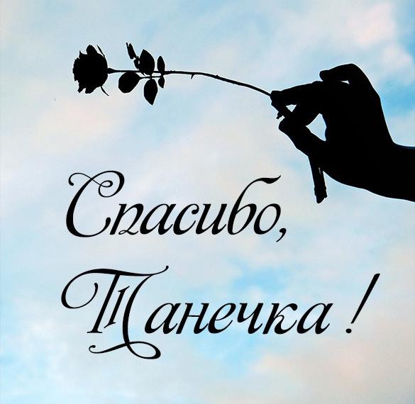 Скачать бесплатно Красивая картинка спасибо Танечка на сайте WishesCards.ru