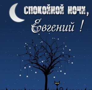 Скачать бесплатно Красивая картинка спокойной ночи Евгений на сайте WishesCards.ru