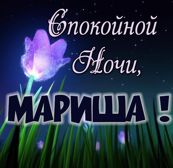 Скачать бесплатно Красивая картинка спокойной ночи Мариша на сайте WishesCards.ru