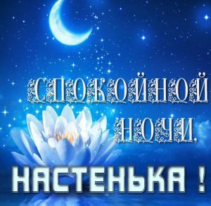 Скачать бесплатно Красивая картинка спокойной ночи Настенька на сайте WishesCards.ru