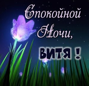 Скачать бесплатно Красивая картинка спокойной ночи Витя на сайте WishesCards.ru