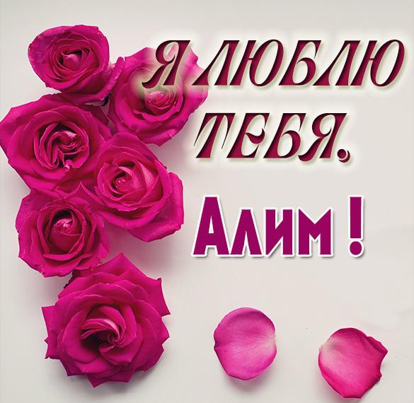 Скачать бесплатно Красивая картинка я люблю тебя Алим на сайте WishesCards.ru
