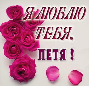 Скачать бесплатно Красивая картинка я люблю тебя Петя на сайте WishesCards.ru
