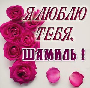 Скачать бесплатно Красивая картинка я люблю тебя Шамиль на сайте WishesCards.ru