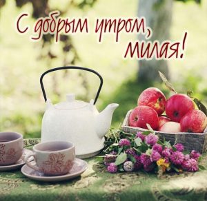 Скачать бесплатно Красивая летняя открытка с добрым утром девушке на сайте WishesCards.ru