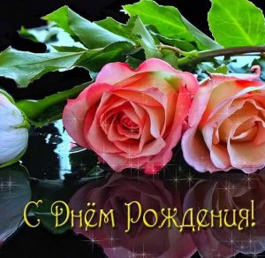 Скачать бесплатно Красивая новая открытка с днем рождения женщине на сайте WishesCards.ru