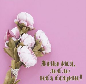 Скачать бесплатно Красивая открытка для любимой жены на сайте WishesCards.ru