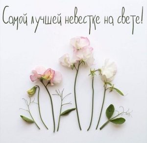 Скачать бесплатно Красивая открытка для невестки на сайте WishesCards.ru
